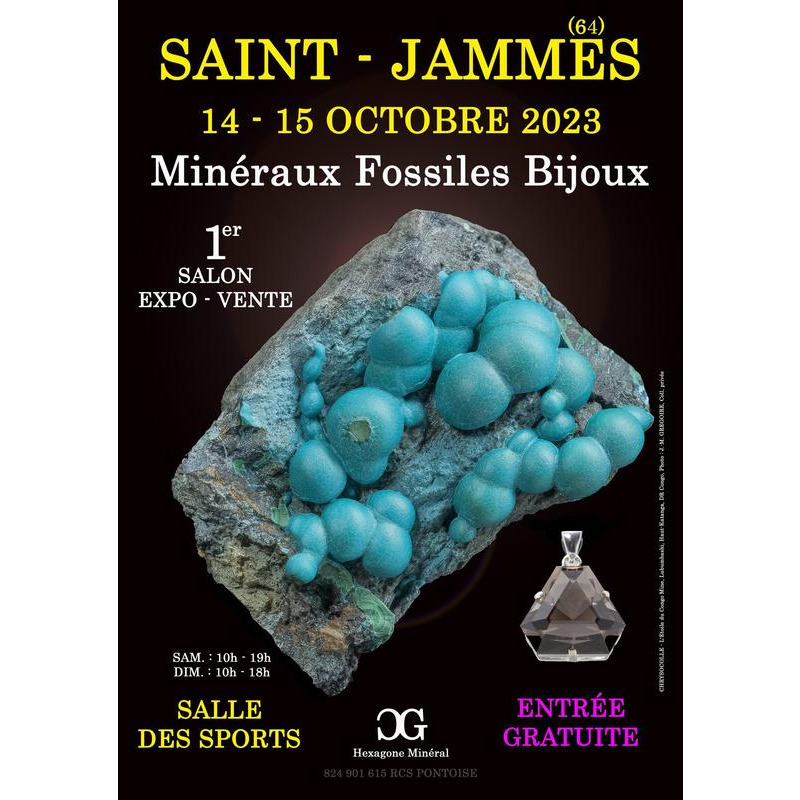 1er Salon Mineraux Fossiles Bijoux